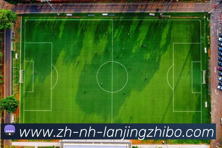 蓝鲸体育平台生态图